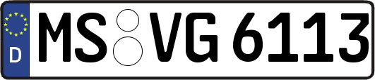 MS-VG6113