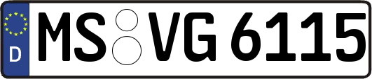 MS-VG6115
