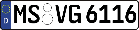 MS-VG6116