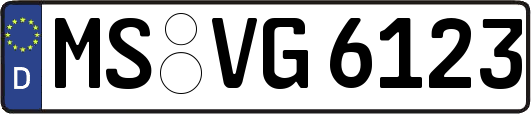 MS-VG6123