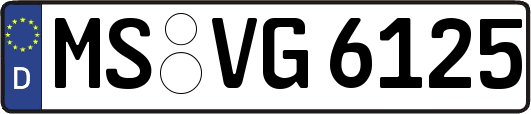 MS-VG6125