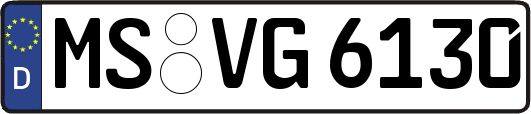 MS-VG6130