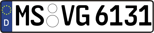 MS-VG6131
