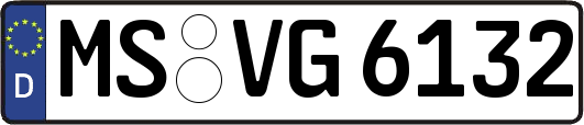 MS-VG6132