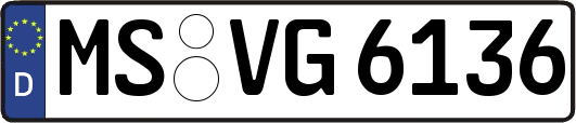 MS-VG6136