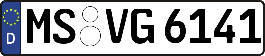 MS-VG6141