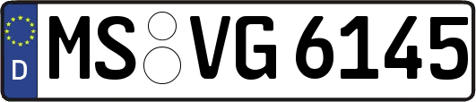 MS-VG6145