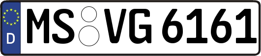 MS-VG6161