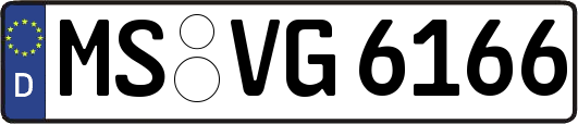 MS-VG6166