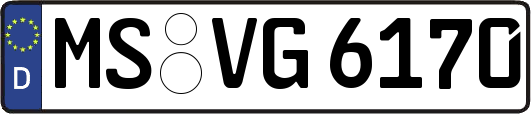 MS-VG6170