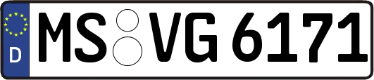 MS-VG6171
