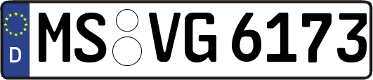 MS-VG6173