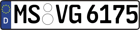 MS-VG6175