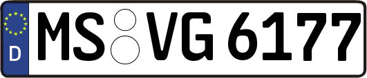 MS-VG6177