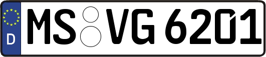 MS-VG6201