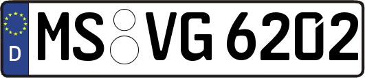 MS-VG6202