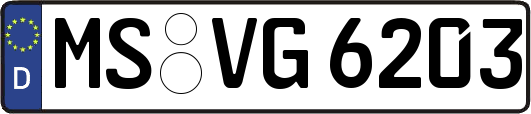 MS-VG6203