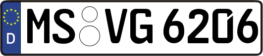 MS-VG6206