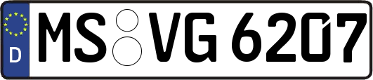 MS-VG6207