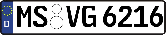 MS-VG6216