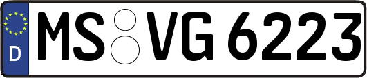 MS-VG6223