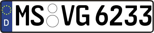 MS-VG6233