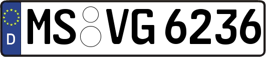 MS-VG6236