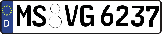 MS-VG6237