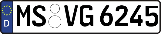 MS-VG6245