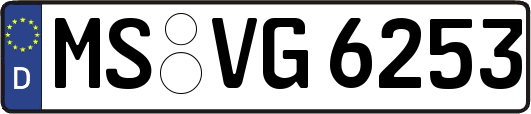 MS-VG6253