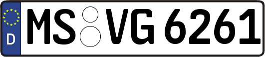 MS-VG6261