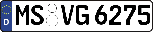 MS-VG6275