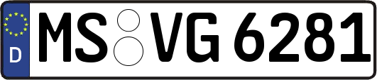 MS-VG6281