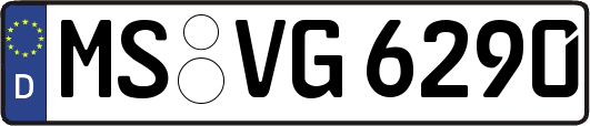 MS-VG6290