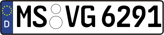 MS-VG6291