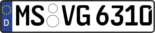 MS-VG6310