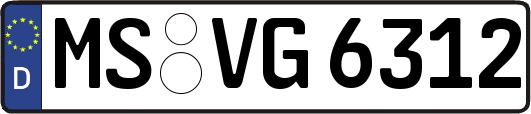 MS-VG6312