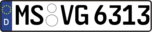 MS-VG6313