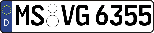 MS-VG6355
