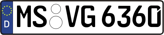 MS-VG6360