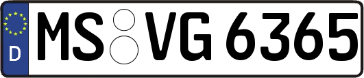 MS-VG6365