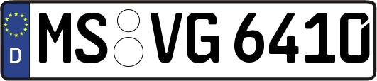 MS-VG6410