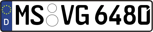 MS-VG6480