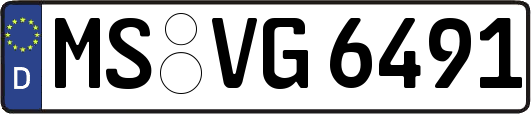 MS-VG6491