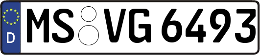 MS-VG6493
