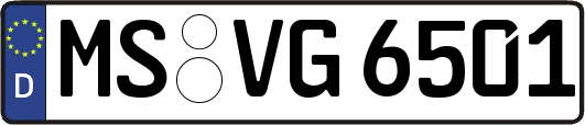 MS-VG6501