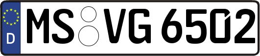 MS-VG6502