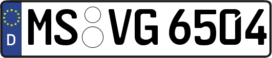 MS-VG6504