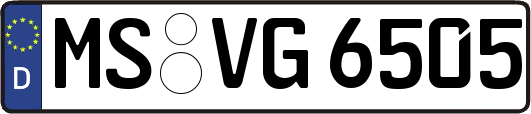 MS-VG6505