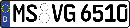 MS-VG6510